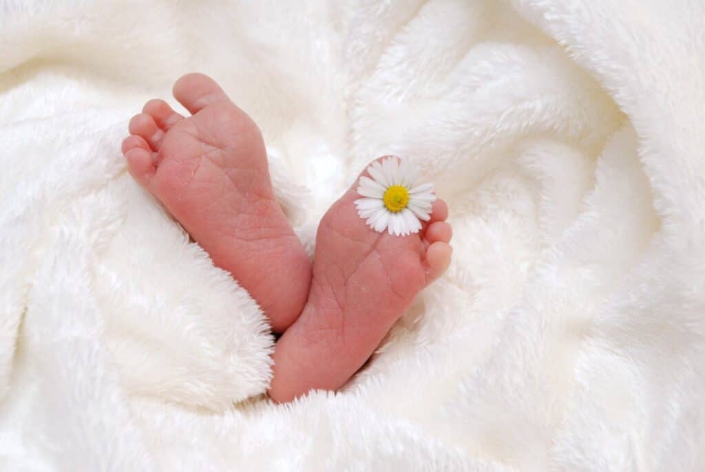 Close-up of newborn feet with a daisy on a fluffy white blanket.